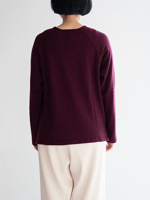 ボルドーの長袖プルオーバーのバックスタイル